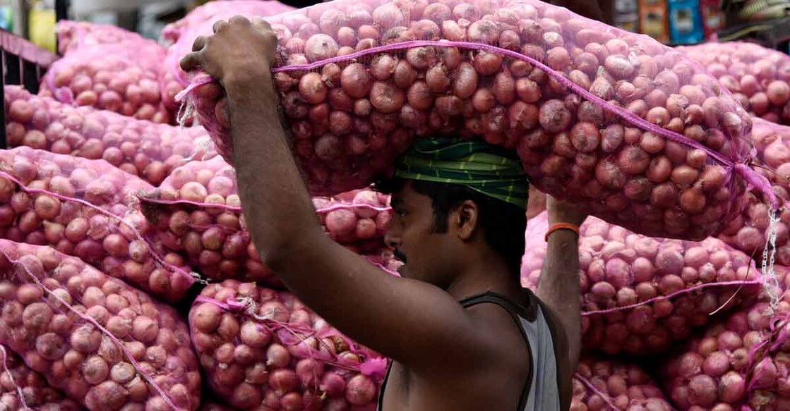 onion (By Talukdar David/ShutterStock)