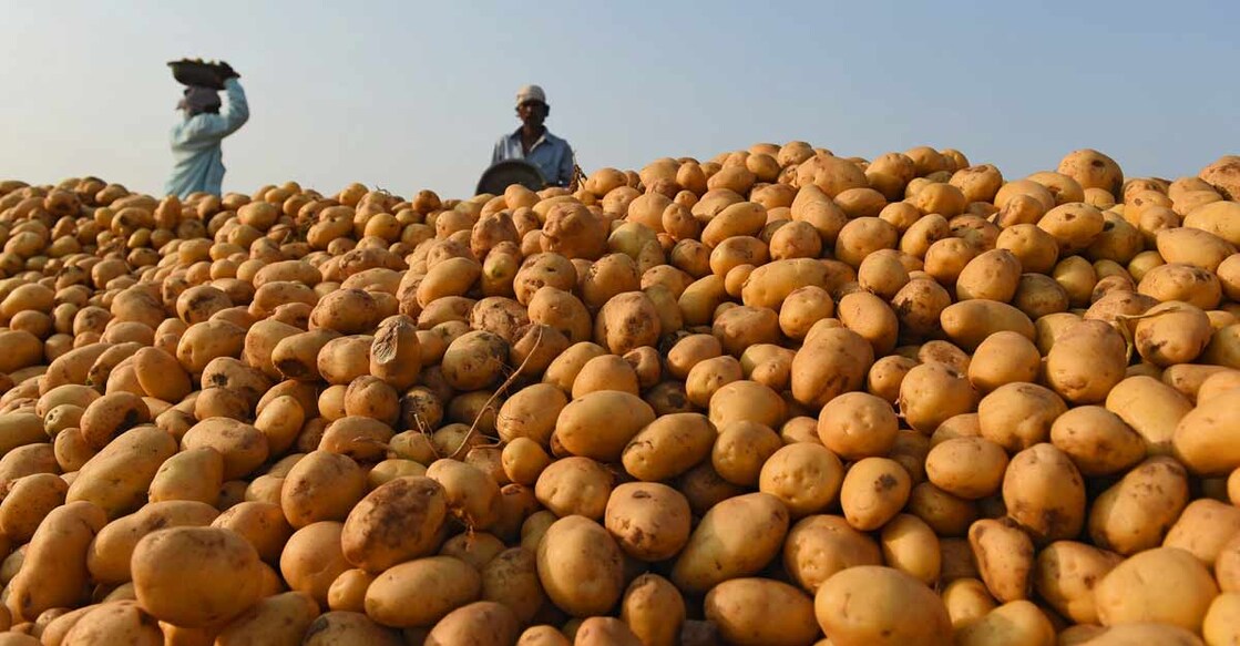 INDIA-ECONOMY-AGRICULTURE INDIA-ECONOMY-AGRICULTURE