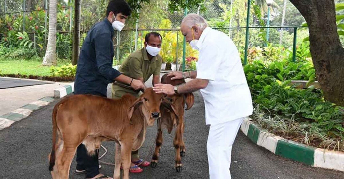cow-yediyurappa