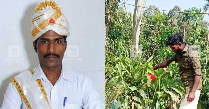 ആദിവാസി രാജാവിന്റെ ചൂണ്ടയില്‍ ‘സ്വര്‍ണമത്സ്യം’ കുരുങ്ങി | Kottayam ...