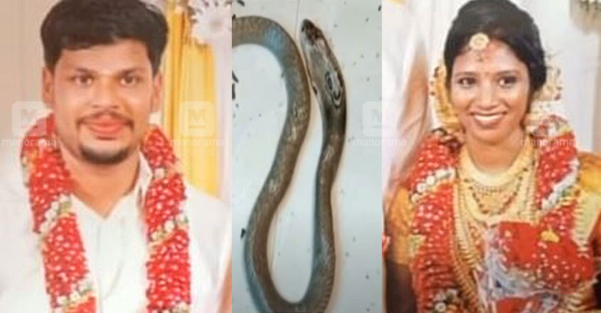 https://img-mm.manoramaonline.com/content/dam/mm/mo/news/just-in/images/2020/5/24/Snake-Bite-Death-Anchal-Suraj-Uthra.jpg