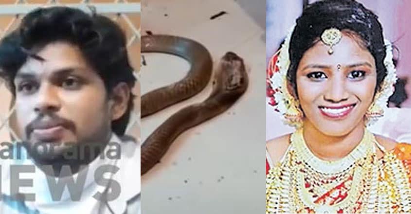 https://img-mm.manoramaonline.com/content/dam/mm/mo/news/just-in/images/2020/5/24/Suraj-Uthra-Snake-Bite.jpg