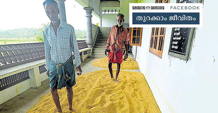 temple-paddy-2 temple-paddy-2