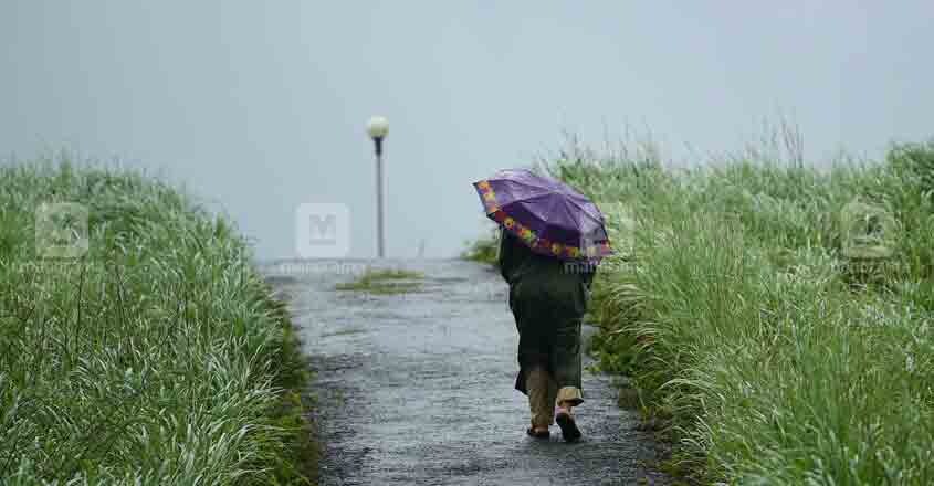 rain-image rain-image