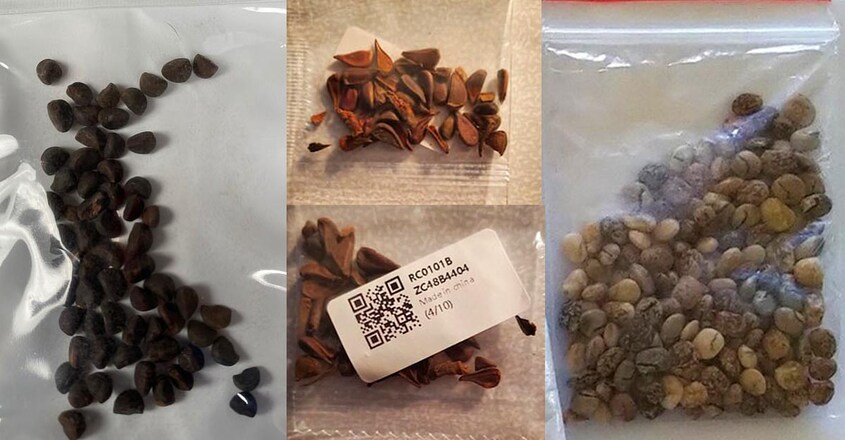 us-china-seeds-mystery-2 us-china-seeds-mystery-2