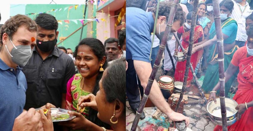 rahul-jallikattu-madurai2 rahul-jallikattu-madurai2