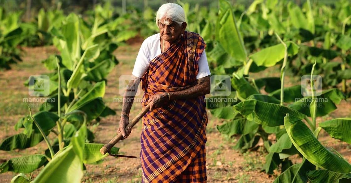 pappammal-3 pappammal-3