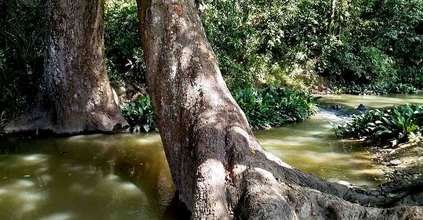 river river
