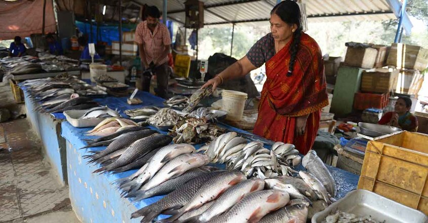 HEALTH-VIRUS-INDIA-AGRICULTURE HEALTH-VIRUS-INDIA-AGRICULTURE