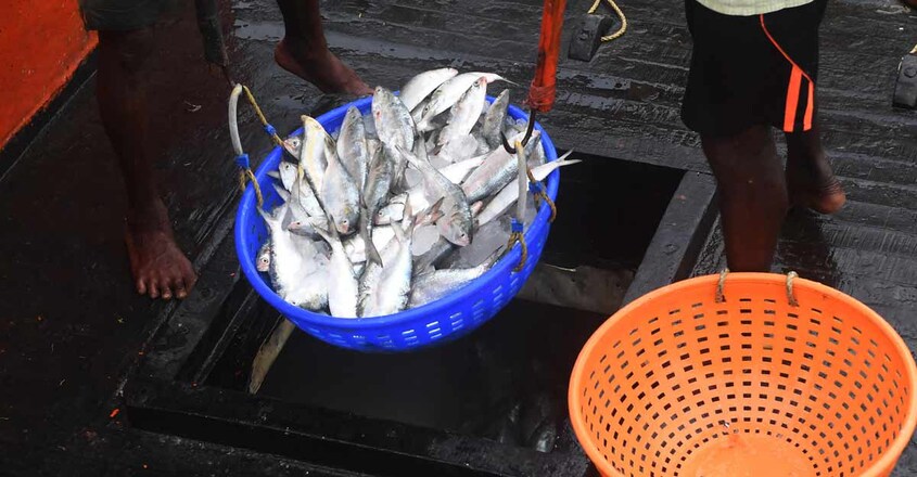 INDIA-ECONOMY-FISHING INDIA-ECONOMY-FISHING