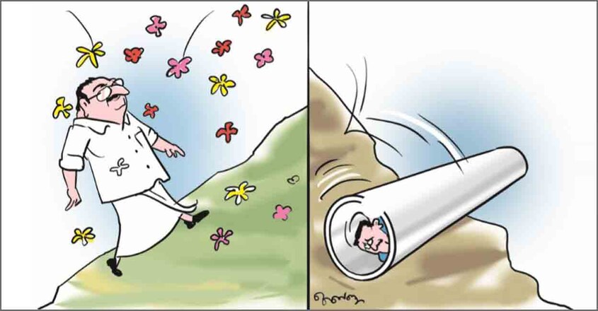 Cartoon Cartoon