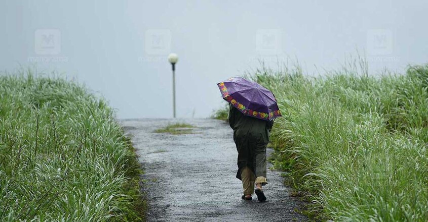 rain-image-01 rain-image-01