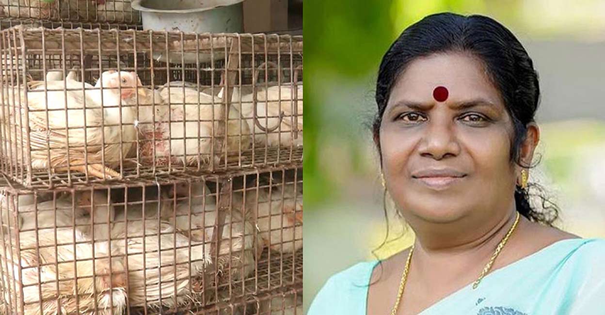 Farmo Chingch ഇറച്ചിക്കോഴി വില നിയന്ത്രിക്കും; മിതമായ നിരക്കിൽ ലഭ്യമാക്കും: മന്ത്രി ...