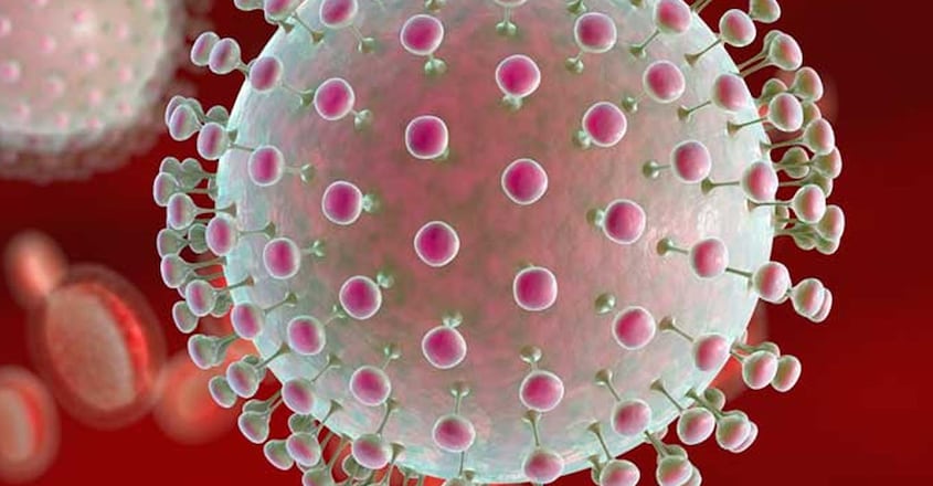 zika-virus zika-virus