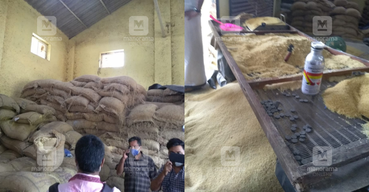 ഓണത്തിന് സ്കൂൾകുട്ടികൾക്ക് ‘പുഴുവെടുത്ത’ അരി | Rice | Kerala | Manorama ...