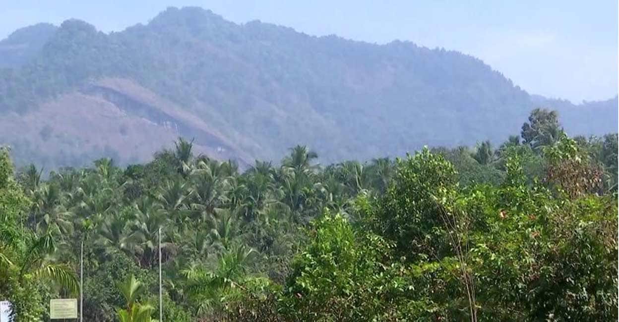 ബഫർ സോൺ സുപ്രീം കോടതിയിൽനിന്ന് സാവകാശം തേടാൻ കേരളം; 17,554 പരാതി