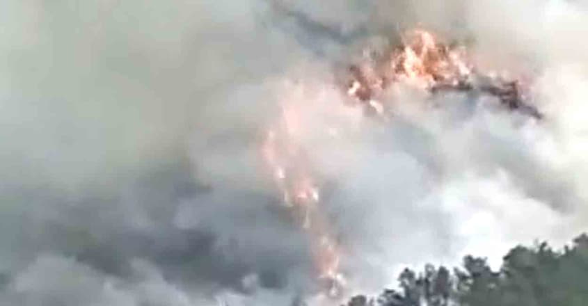 Plane crash China : चीन में उड़ते विमान में लगी आग, 132 लोगों में किसी के बचने की उम्मीद नहीं