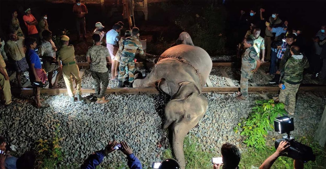 elephant-railway-track elephant-railway-track
