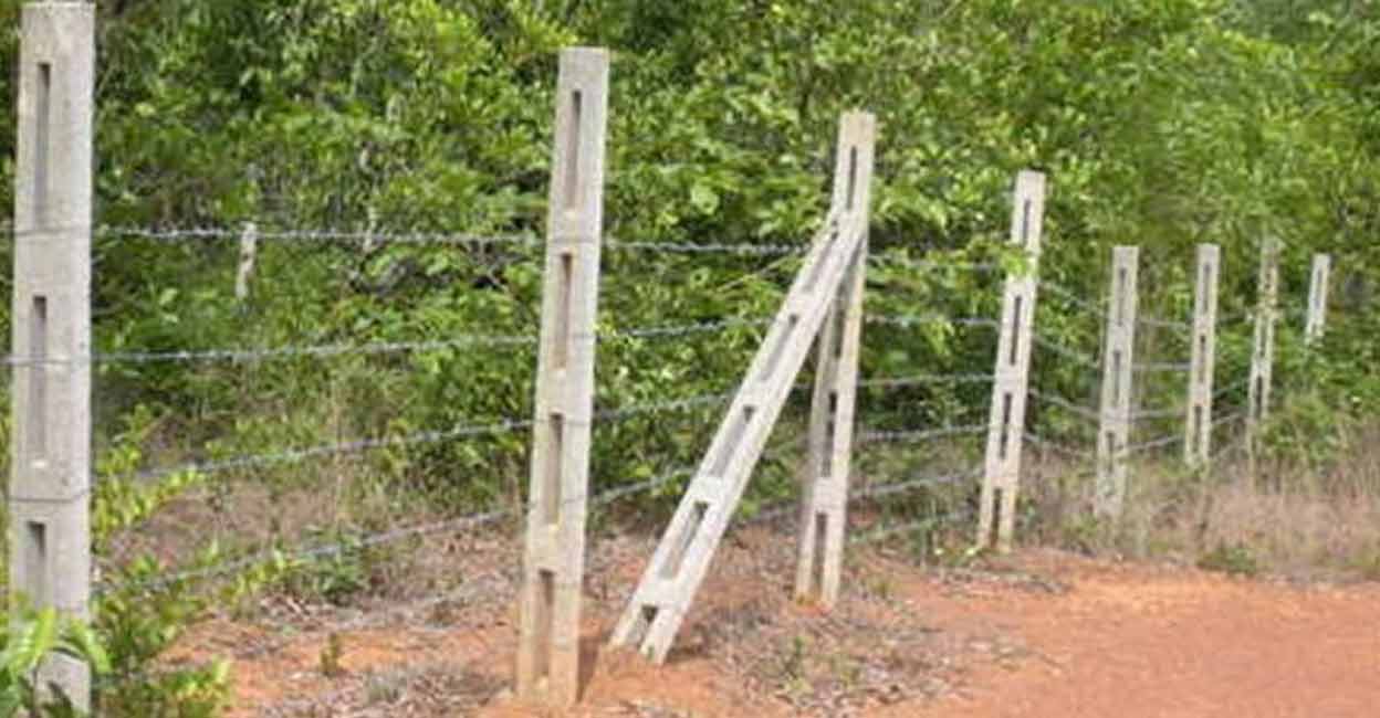 വന്യജീവി പ്രതിരോധത്തിന് ഒരു വൈത്തിരി മാതൃക കാട്ടാനയെ കാട്ടിലടച്ച്