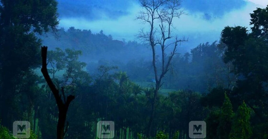 ബഫർസോൺ വന്യജീവി സങ്കേ‍തങ്ങൾക്ക് ചുറ്റുമുള്ള പരിശോധന മന്ദഗതിയി