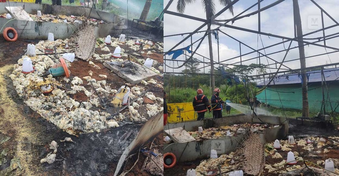 poultry-farm-fire മലപ്പുറത്ത് കോഴിഫാമിലുണ്ടായ തീപിടിത്തം