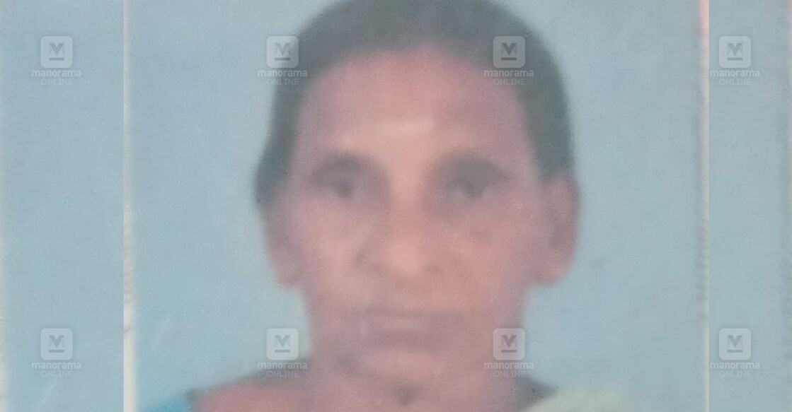 ഭാർഗവി
