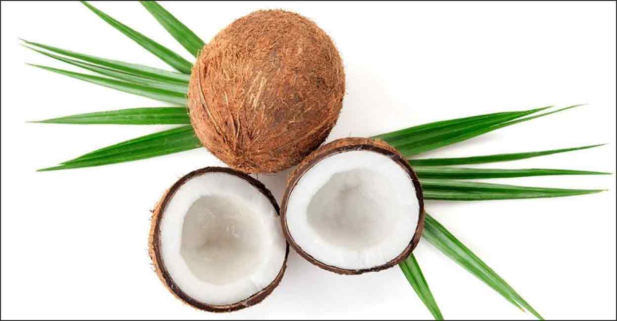 താങ്ങുവില വെറും ‘താങ്ങ്’ ആയാൽ Kerala budget 2023 coconut price
