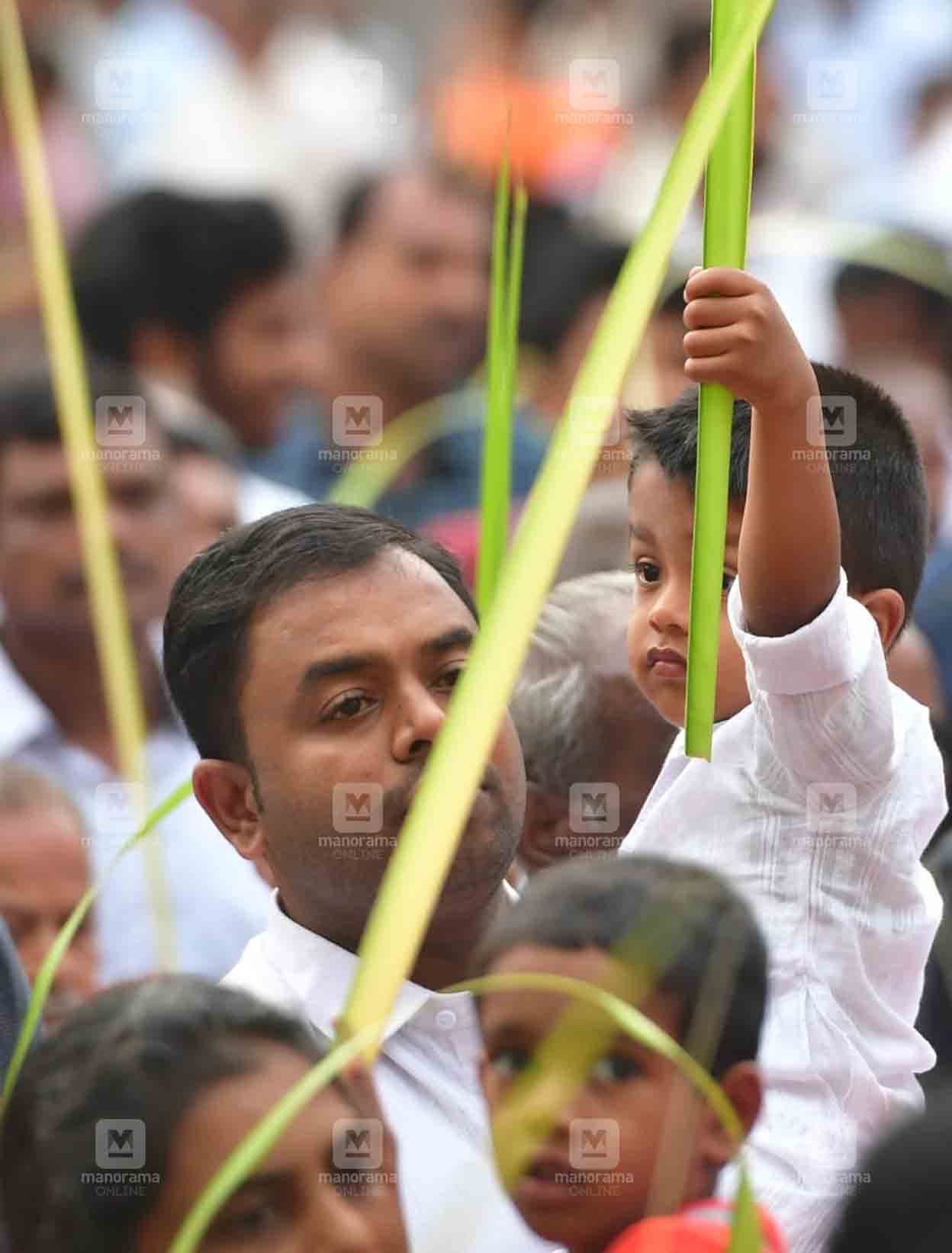 Palm Sunday | Photo: Josekutty Panackal / Manorama 