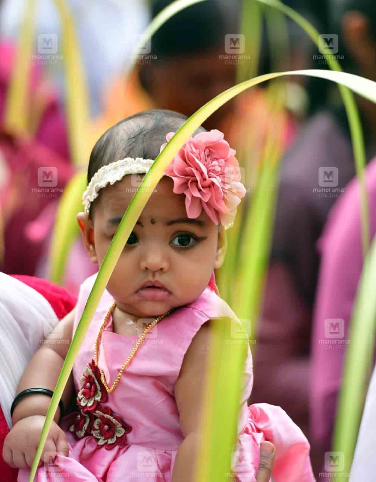 Palm Sunday | Photo: Josekutty Panackal / Manorama 