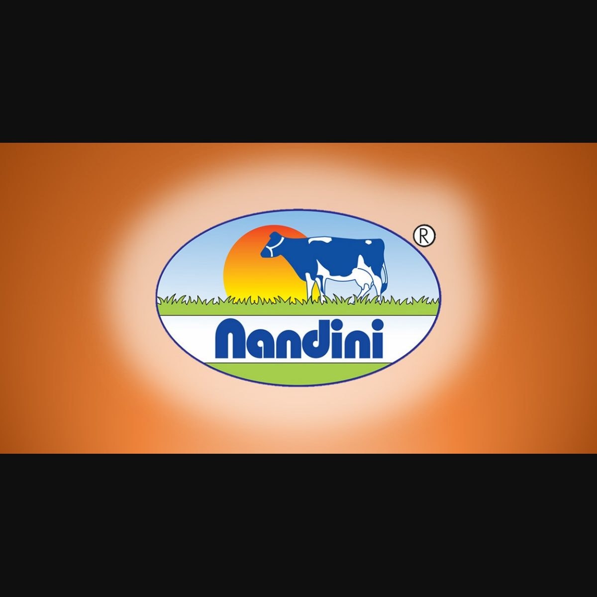 Nandini Milk Paradise (Bangalore) » Indian Cattle