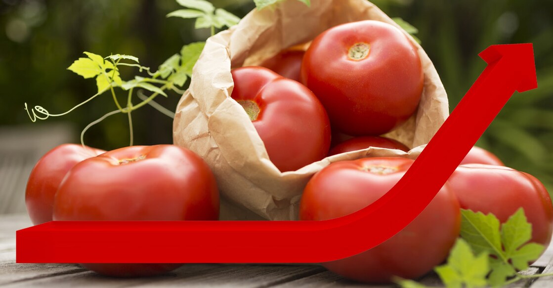 tomato-price-hike-12