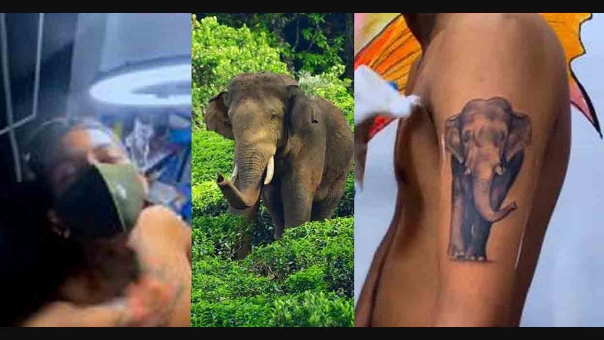 Searching 'kerala%20ernakulam%20best%20toys%20sellers' | CRAZY INK TATTOO &  BODY PIERCING in Raipur