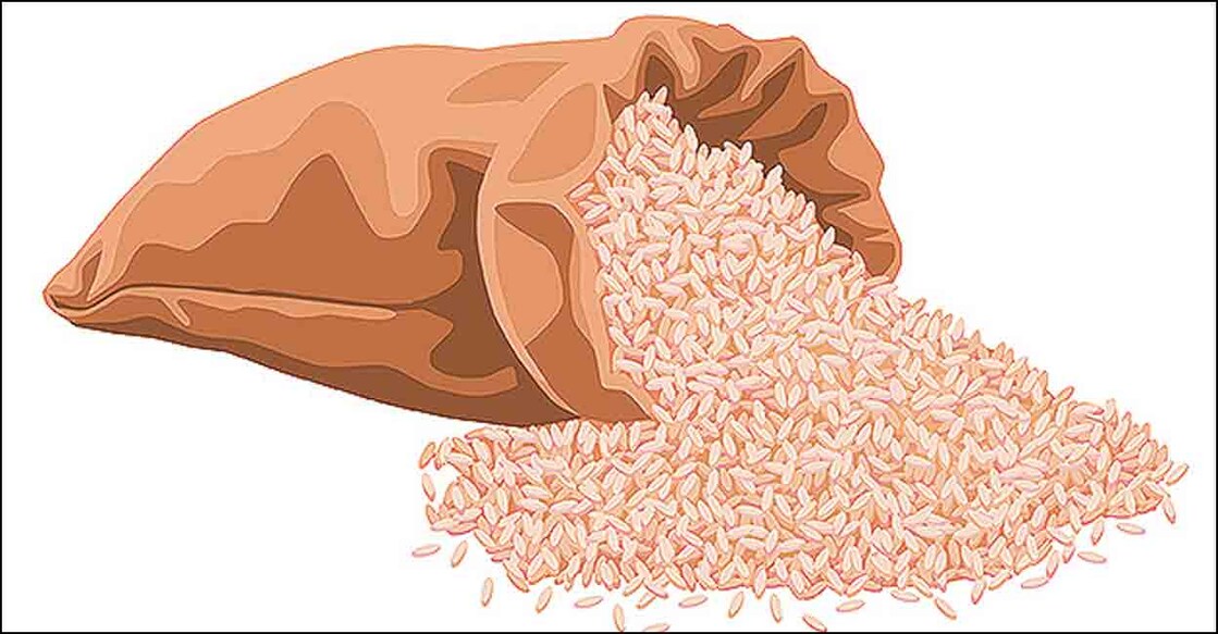 rice-representational-image rice-representational-image