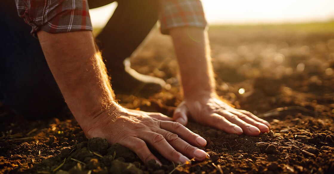 Expert hand of farmer checking soil health before growth a seed of vegetable or plant seedling. Agriculture, organic gardening, planting or ecology concept. Image Credit: Stock Photos|Dirt