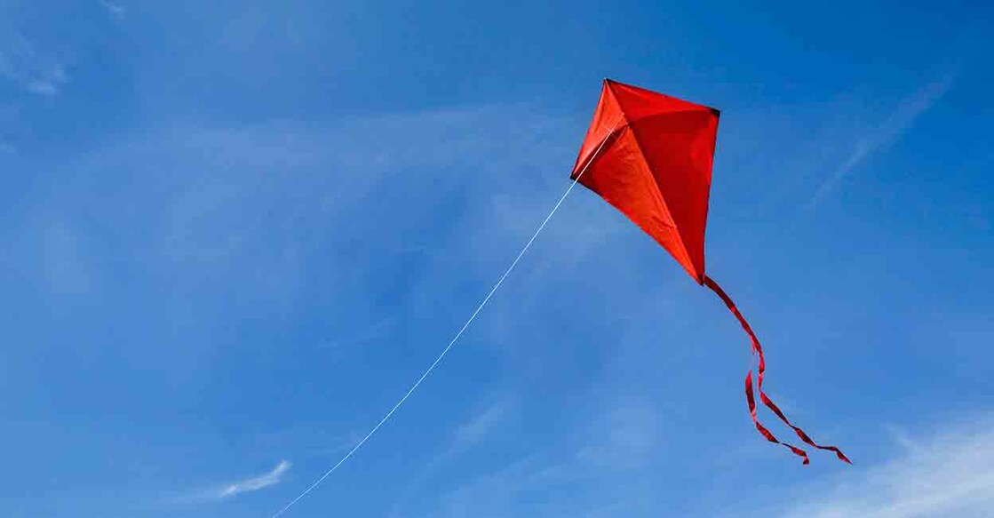 Kite | Photo: Shutterstock / Diane Diederich പ്രതീകാത്മക ചിത്രം. (Photo: Shutterstock / Diane Diederich)