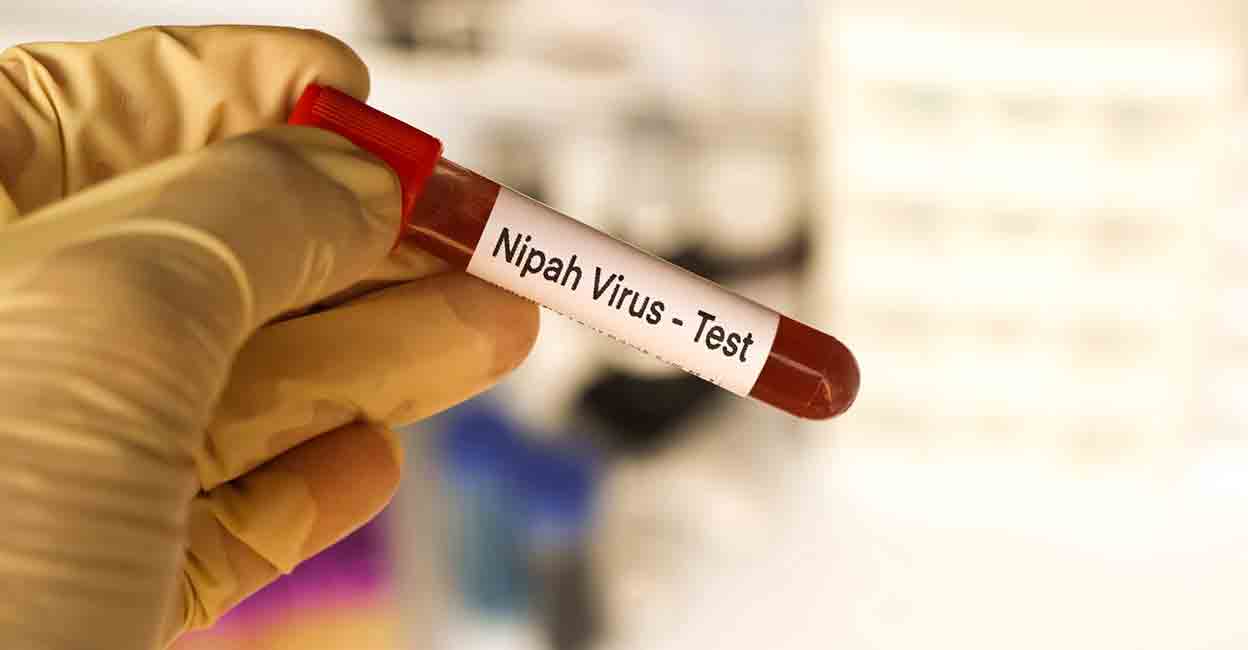 Nipah Kerala Updates: Health Minister Veena George announces negative test results for 24 more samples