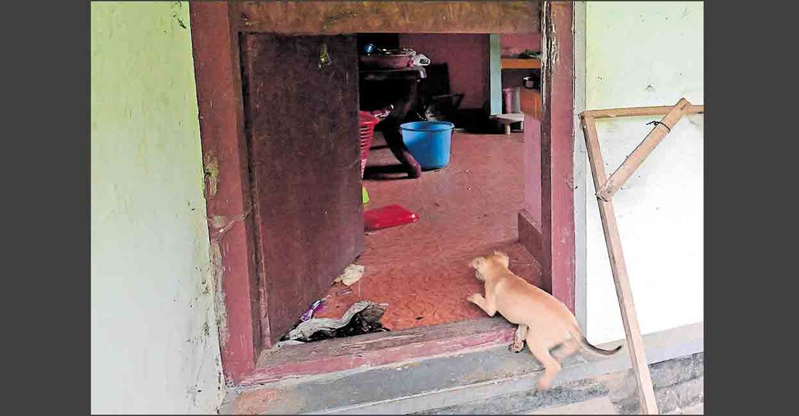 അഖിൽ സജീവിന്റെ വള്ളിക്കോട്ടെ വീടിന്റെ പുറംവാതിൽ തുറന്ന നിലയിൽ. ഒന്നര വർഷമായി വീട് അടച്ചിട്ടിരിക്കുകയാണ്.