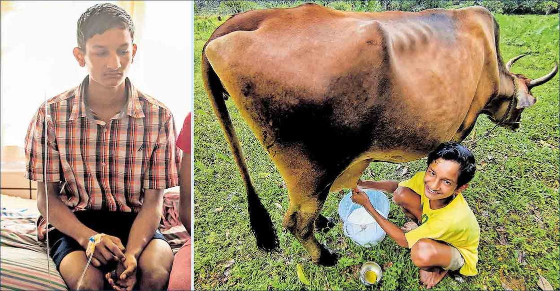 (1) കന്നുകാലികൾ ചത്തതിന്റെ വേദനയിൽ തളർന്നുവീണ മാത്യു ബെന്നിയെ മൂലമറ്റത്തെ ആശുപത്രിയിൽ പ്രവേശിപ്പിച്ചപ്പോൾ. (2) മാത്യു ബെന്നി വീട്ടിൽ പശുവിനെ കറക്കുന്നു. (പഴയ ചിത്രം)