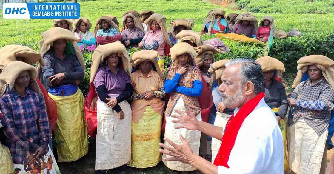 പൊഴുതനയിൽ തോട്ടം തൊഴിലാളികളോട് വോട്ടഭ്യർഥിക്കുന്ന എൽഡിഫ് സ്ഥാനാർഥി സത്യൻ മൊകേരി. ചിത്രം: മനോരമ