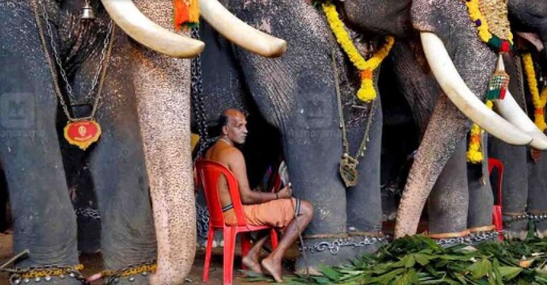 ചിത്രം: REUTERS/Sivaram V