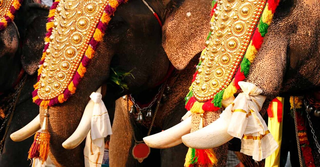 Photo Credit: istockphoto.com/libin jose