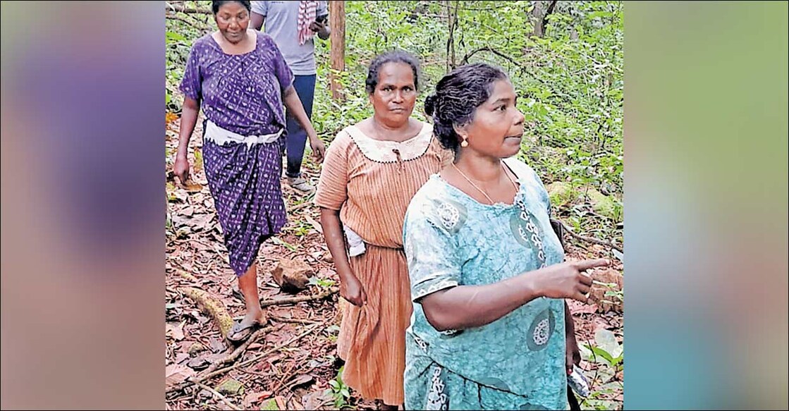 maya-jayan-darly-stephan-parukutty ഈ കാടും കടന്ന്: മായ ജയൻ, ഡാർളി സ്റ്റീഫൻ, പാറുക്കുട്ടി കുഞ്ഞുമോൻ എന്നിവർ ഉൾവനത്തിൽ നിന്നു പുറത്തേക്ക്.