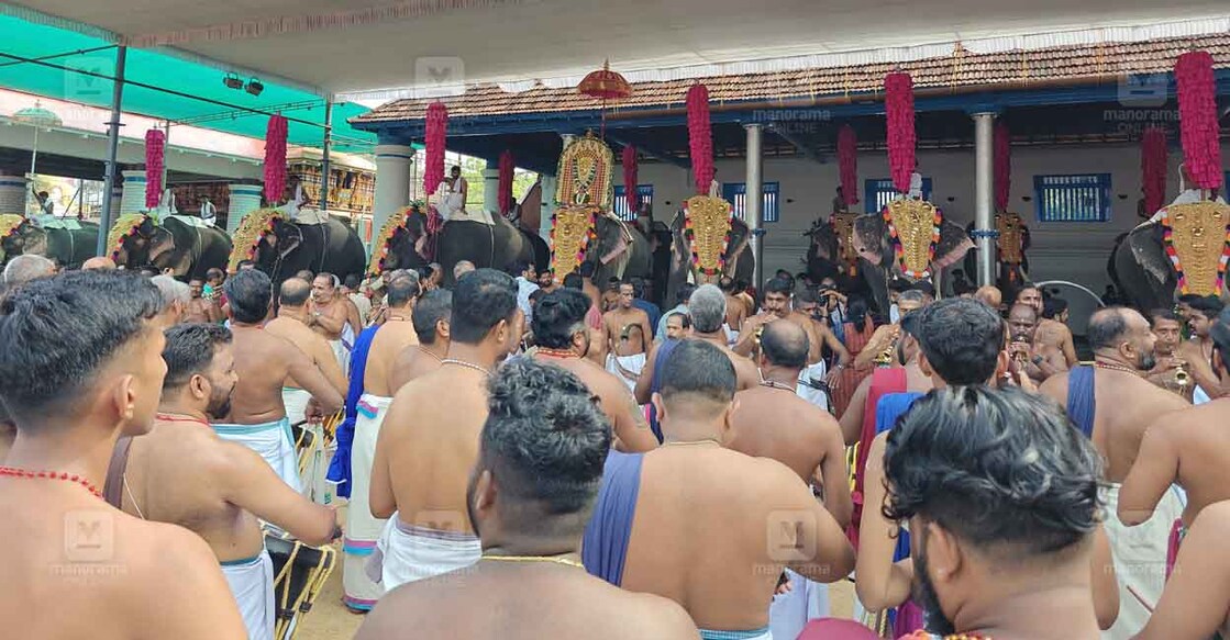 തൃപ്പൂണിത്തുറ ശ്രീപൂർണത്രയീശ ക്ഷേത്രത്തിലെ വൃശ്ചികോത്സവത്തിന് ഹൈക്കോടതി നിർദേശം പാലിച്ചുകൊണ്ട് ആനകളെ എഴുന്നള്ളിച്ചിരിക്കുന്നു. ചിത്രം: മനോരമ