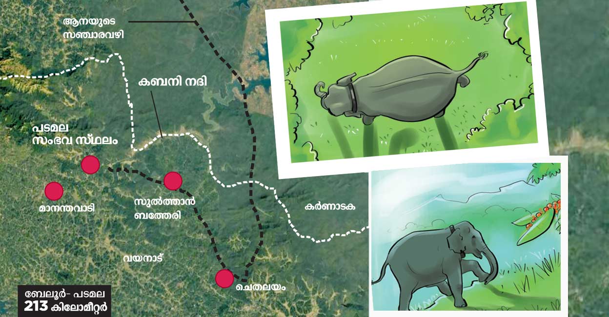 മെരുങ്ങാത്ത കലി; കാട്ടാനയാക്രമണം ഇങ്ങനെ - Wild Elephant Attack In ...