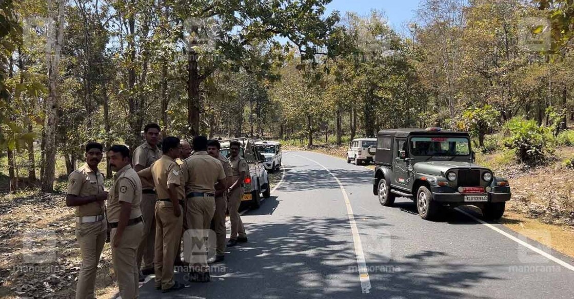 ആനയുടെ സിഗ്നൽ ലഭിച്ച ബാവലി പാതയ്ക്കു സമീപം വനപാലകരുടെ സംഘം. ചിത്രം: ജിതിൻ ജോയൽ ഹാരിം/ മനോരമ