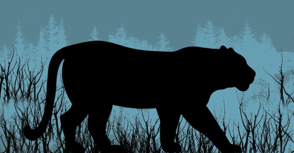 tiger-representational-image പ്രതീകാത്മക ചിത്രം