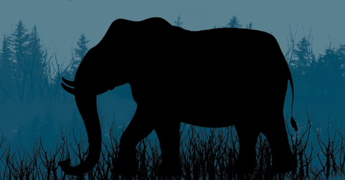 wild-elephant-1 പ്രതീകാത്മക ചിത്രം