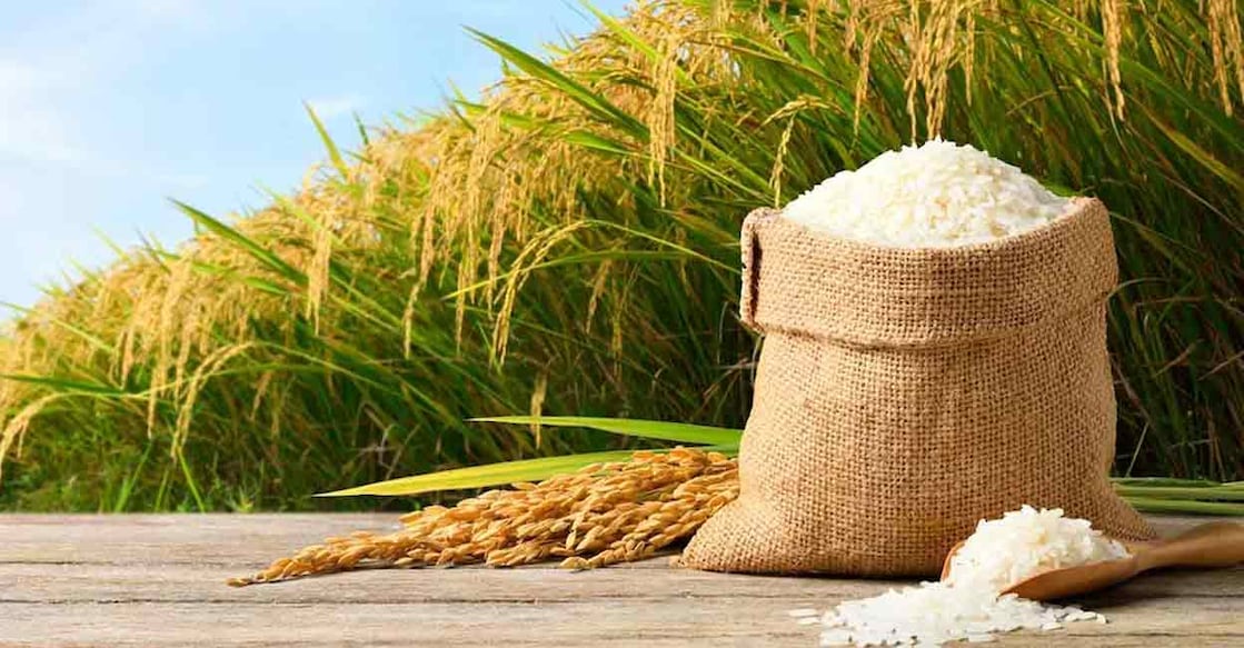 Rice Image Credit:Photoongraphy/shutterstock പ്രതീകാത്മക ചിത്രം. Image Credit: Photoongraphy/shutterstock