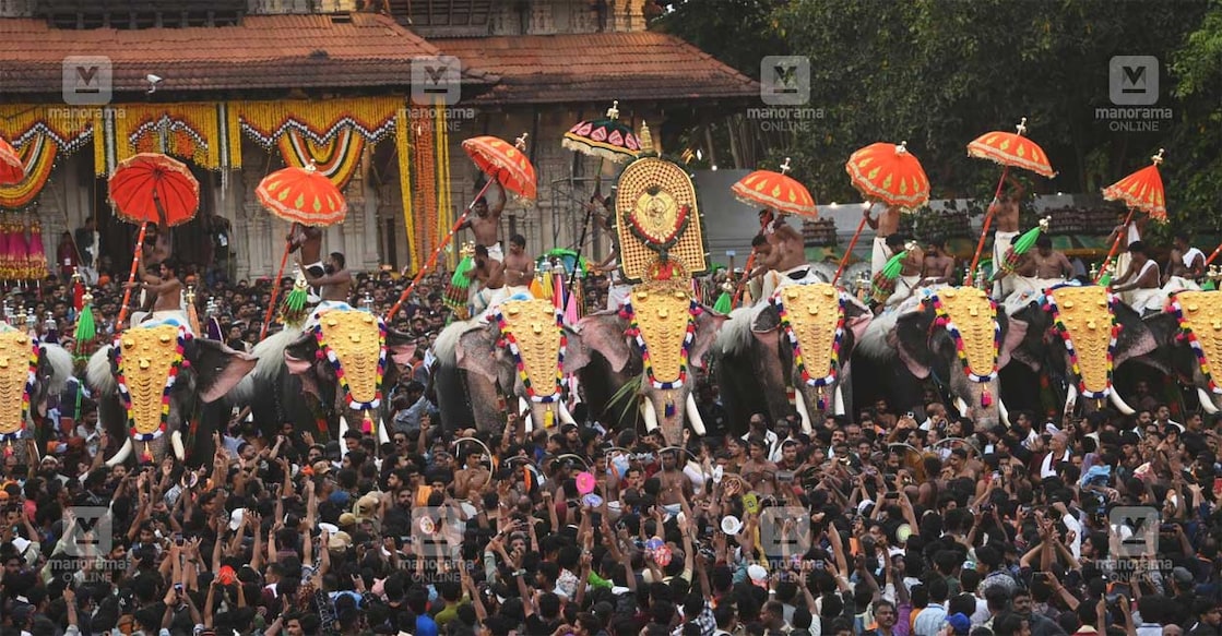 തൃശൂർ പൂരത്തിലെ കാഴ്ച (Photo: Vishnu V Nair/Manorama)