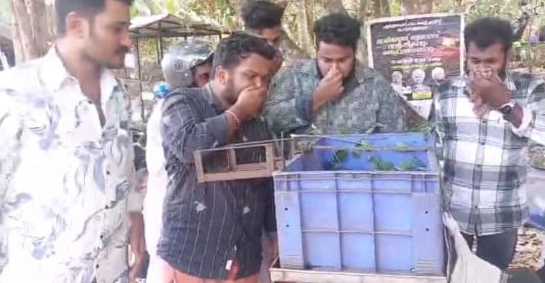 kozhikode-fish-1304 kozhikode-fish-1304